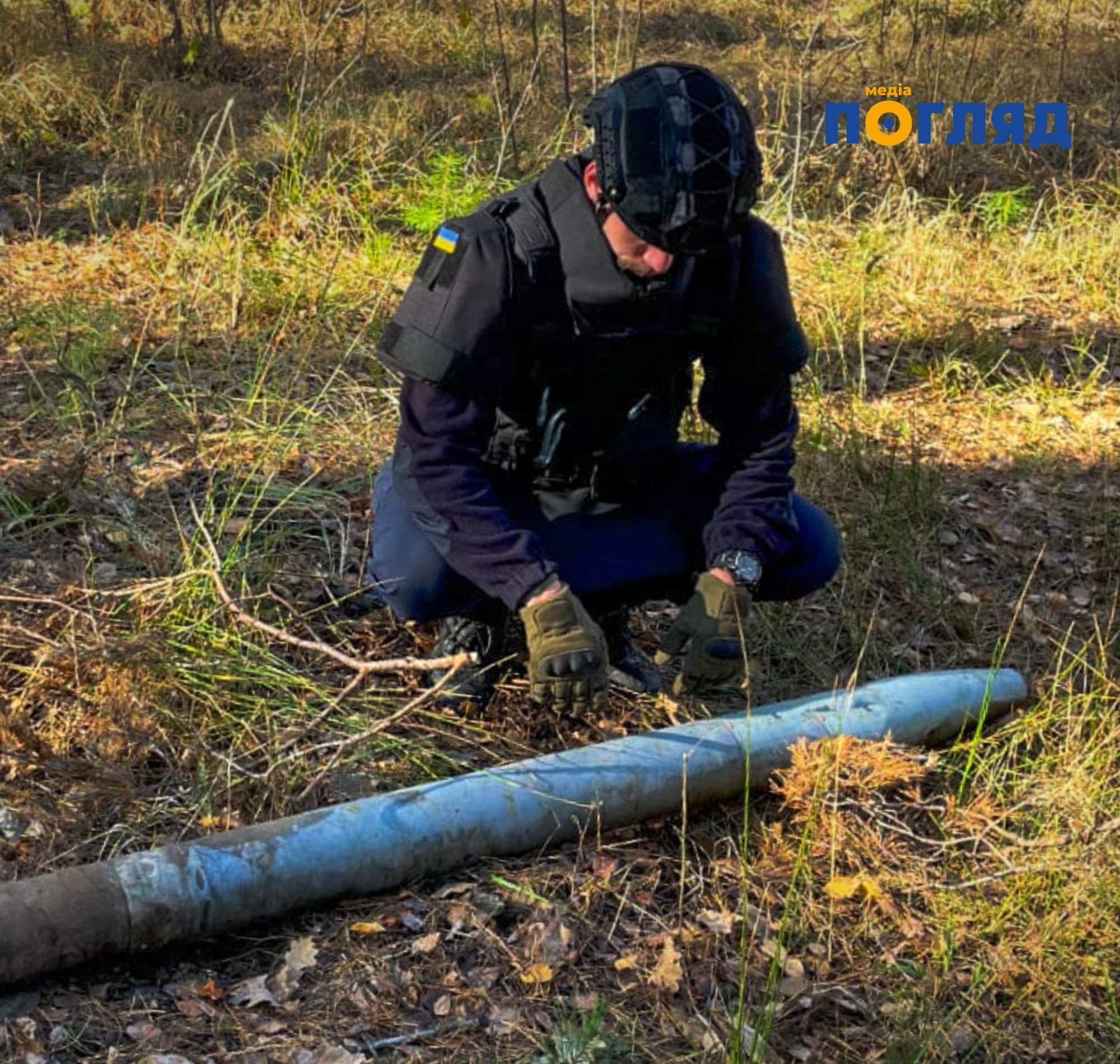 У Бучанському районі під час збирання грибів місцевий мешканець натрапив на протипіхотну осколкову міну (ФОТО) - зображення